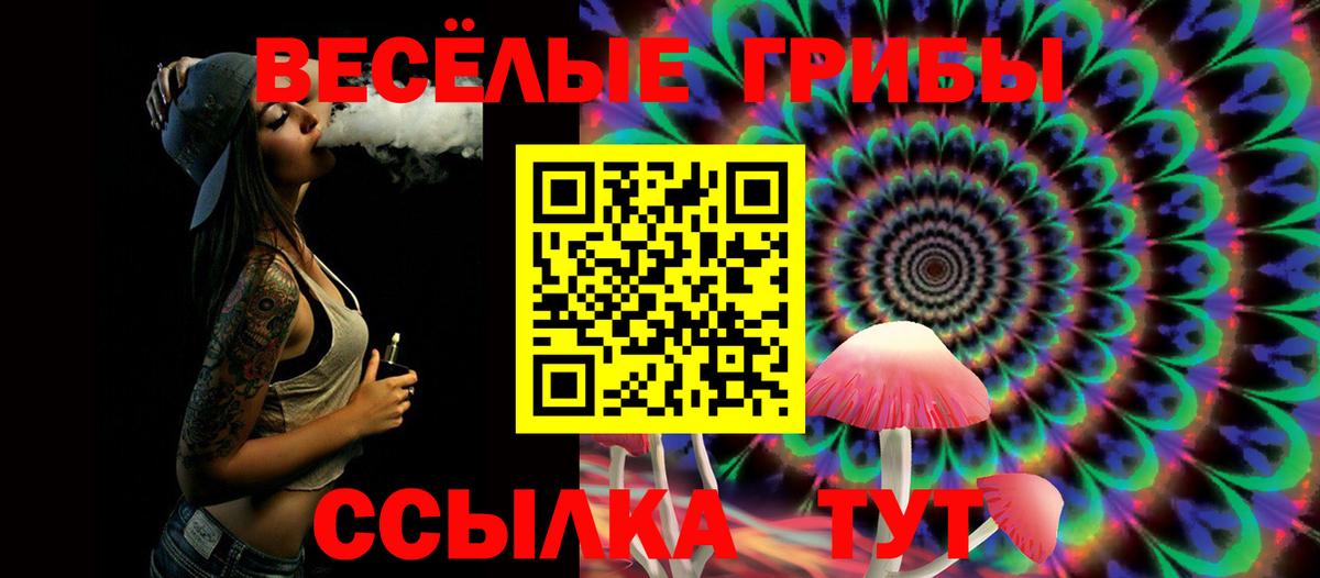 Серпухов  Псилоцибиновые грибы Psilocybine cubensis  Вход с VPN 